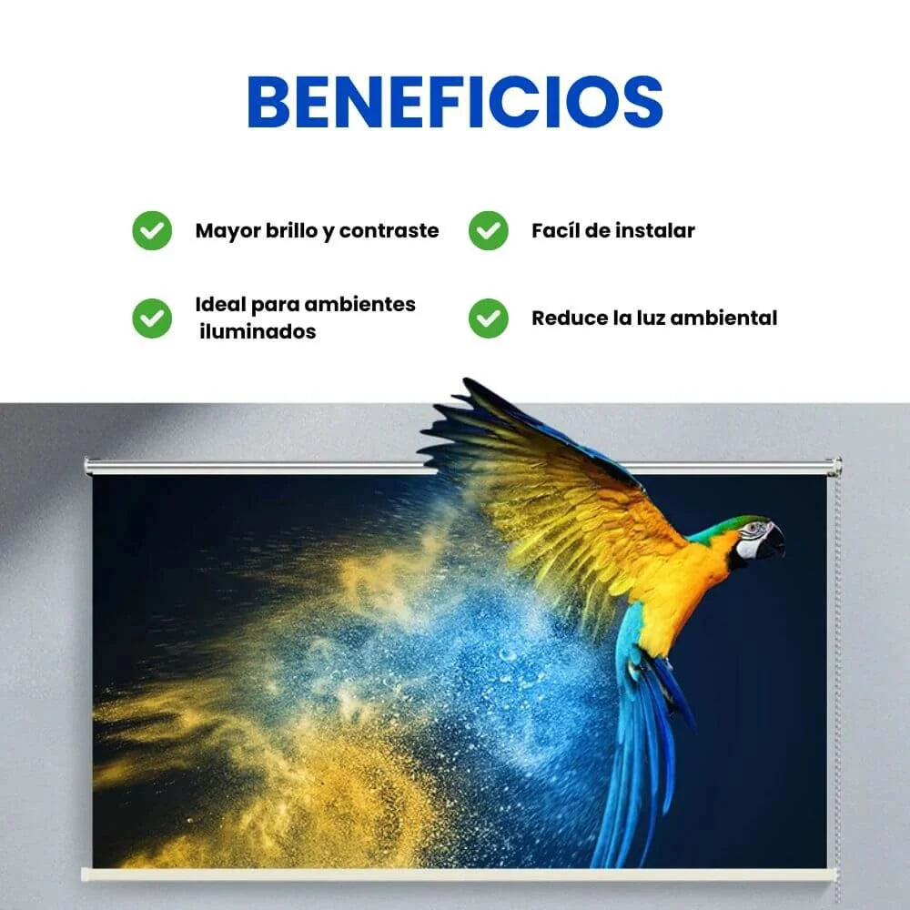 Ecran / Pantalla retráctil gris ALR con alta definición, sin reflejos, fácil instalación y mejor contraste para proyectores.